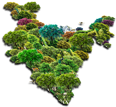 Save Tree Save Life